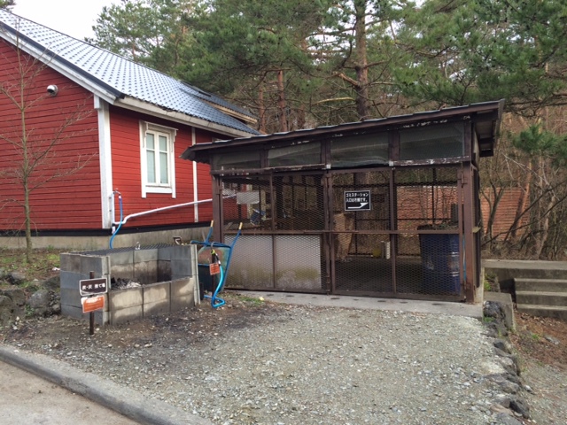 キャンプ in 山梨Ⅲ with dog