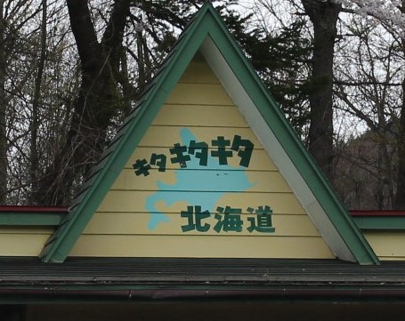 キャンプ in 山梨Ⅲ with dog