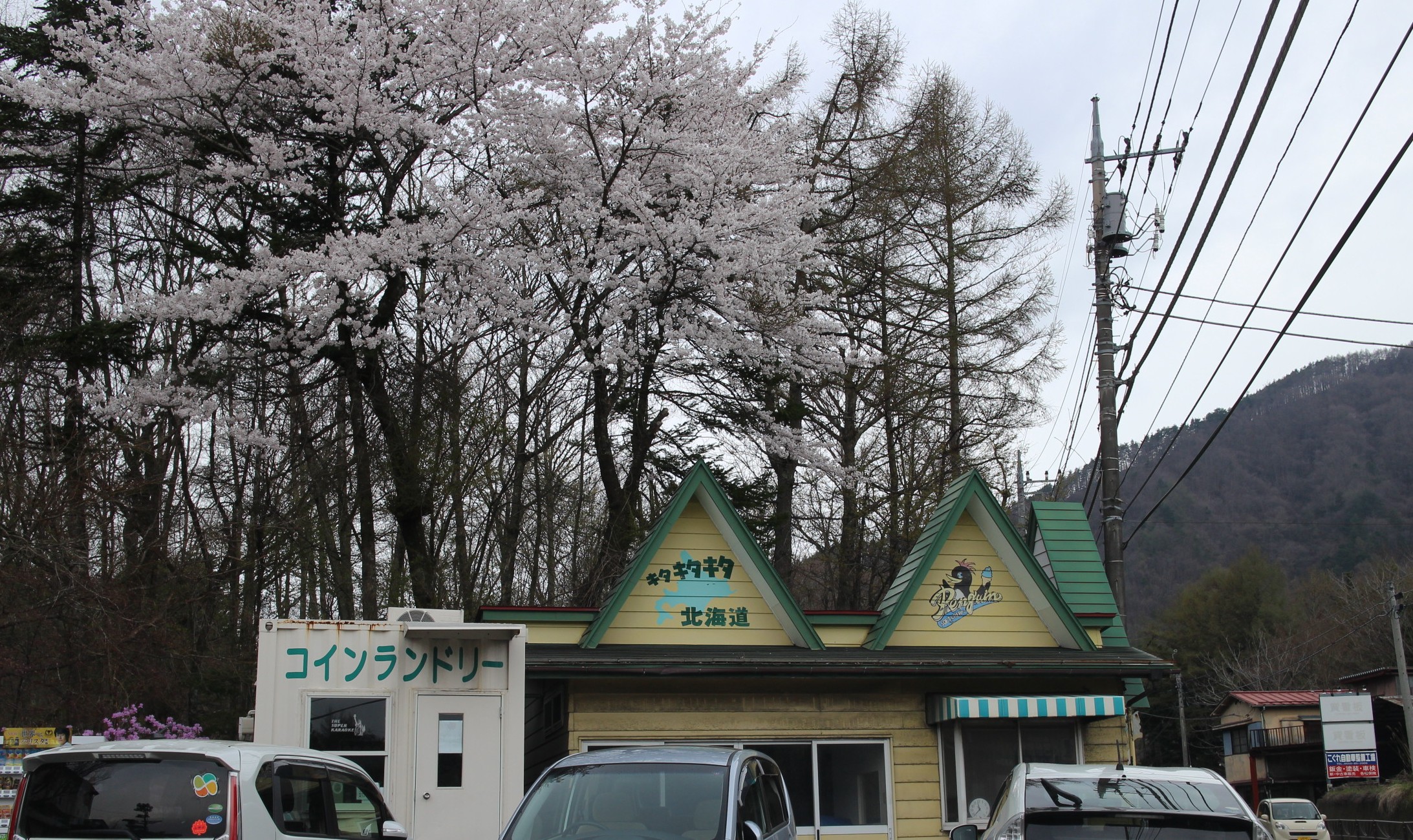 キャンプ in 山梨Ⅲ with dog