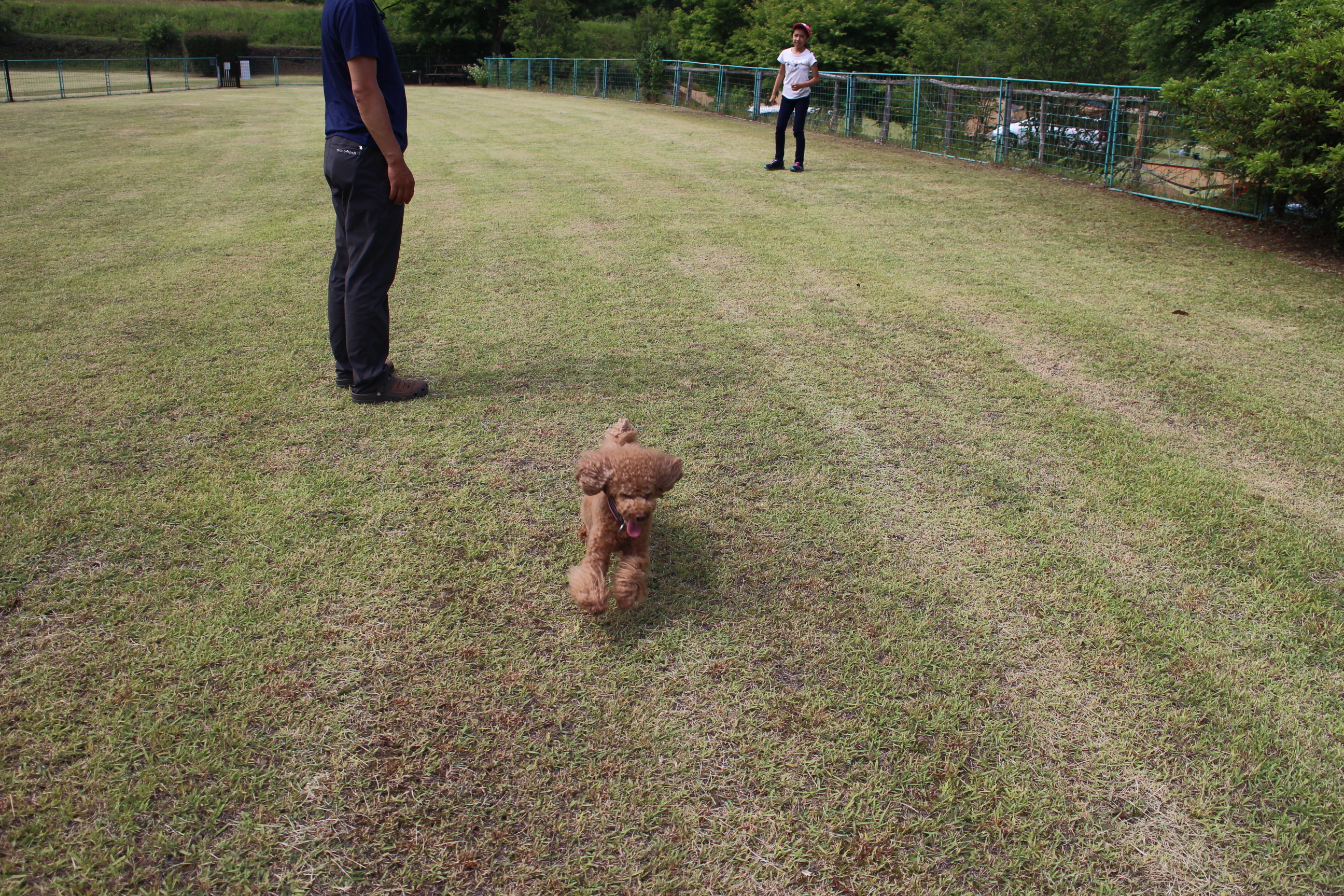 キャンプｉｎ静岡２０ with dog