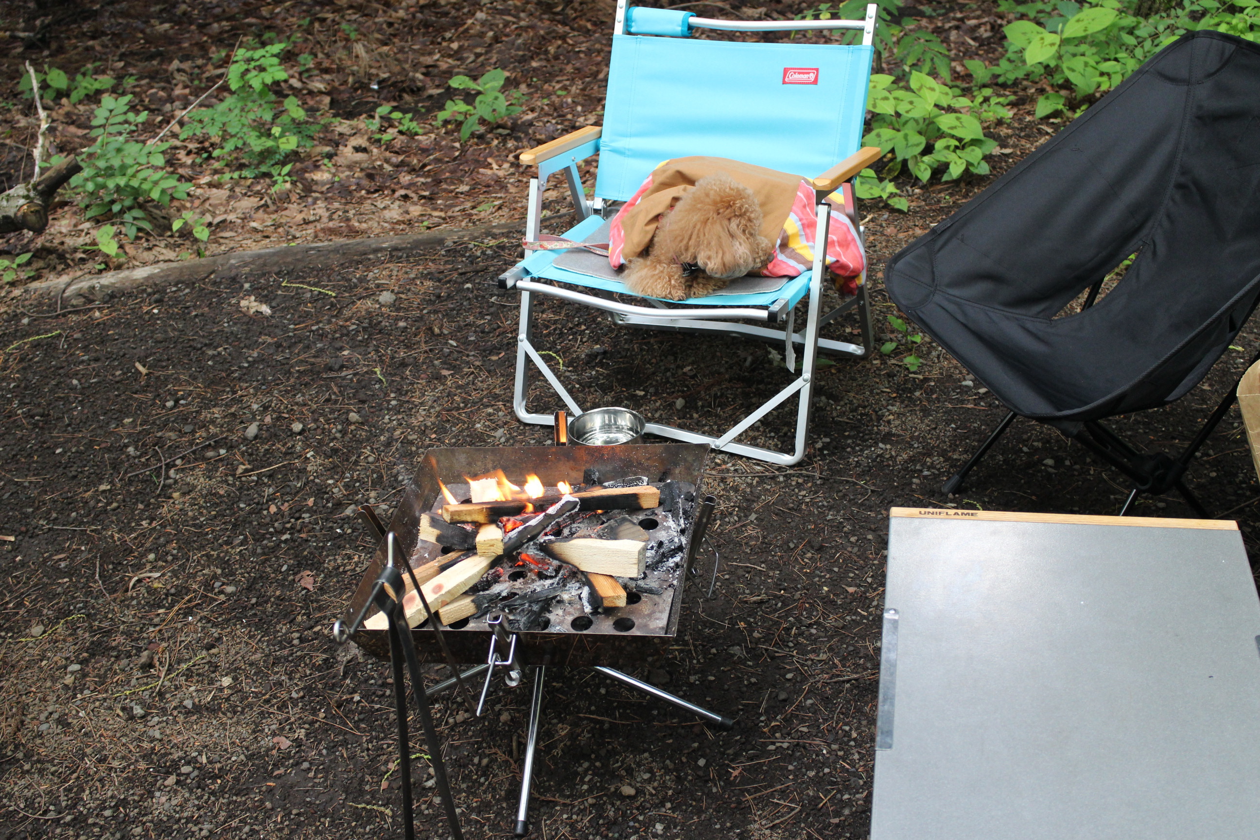 キャンプｉｎ山梨Ⅳ with dog
