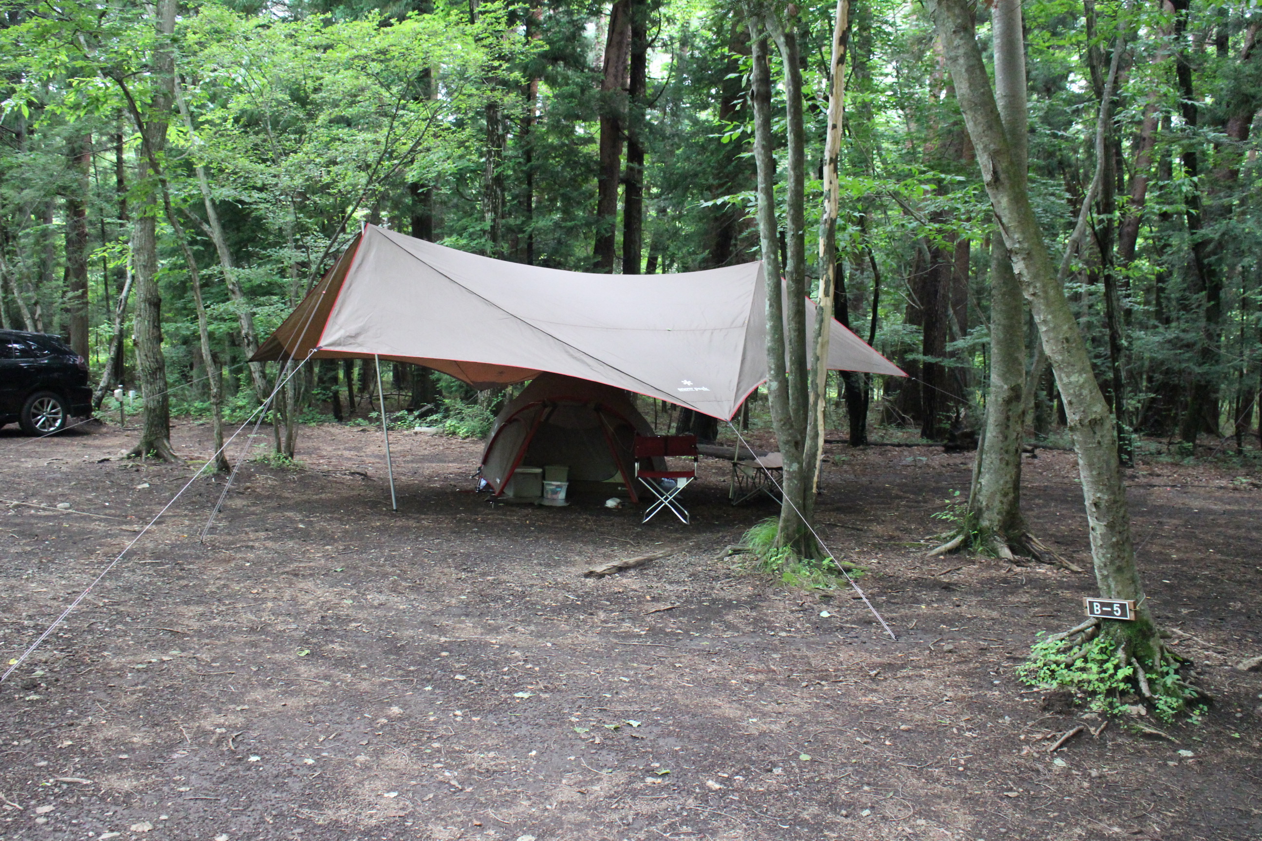 キャンプｉｎ山梨Ⅳ with dog