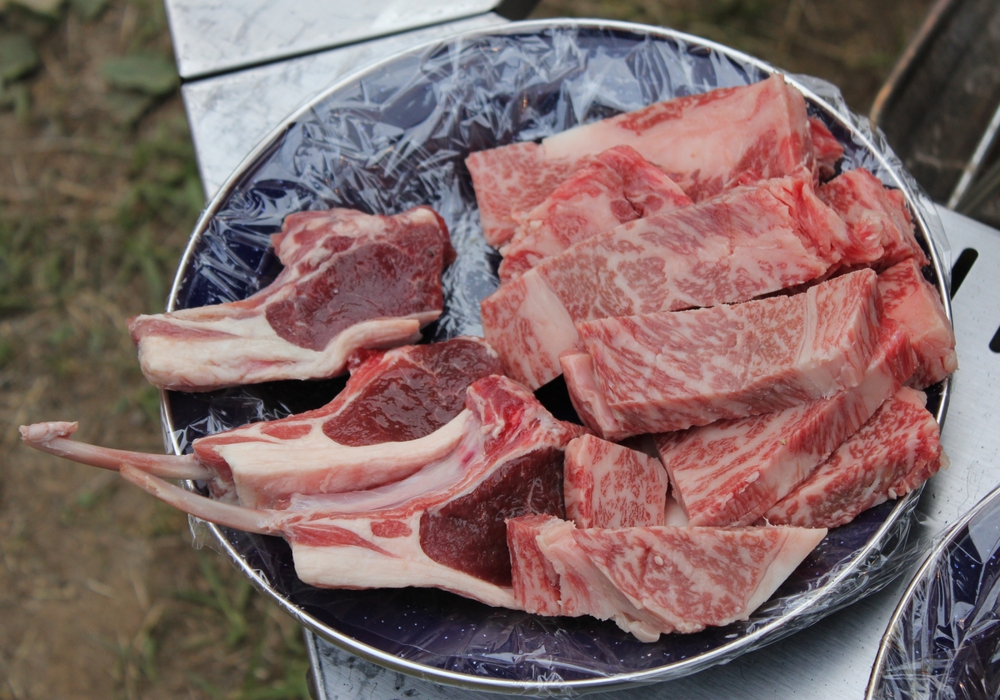 原点回帰キャンプ 原点回帰キャンプ