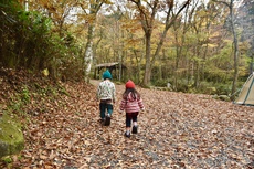 道志村で紅葉狩りキャンプ ① 〜 山伏オートキャンプ場 〜