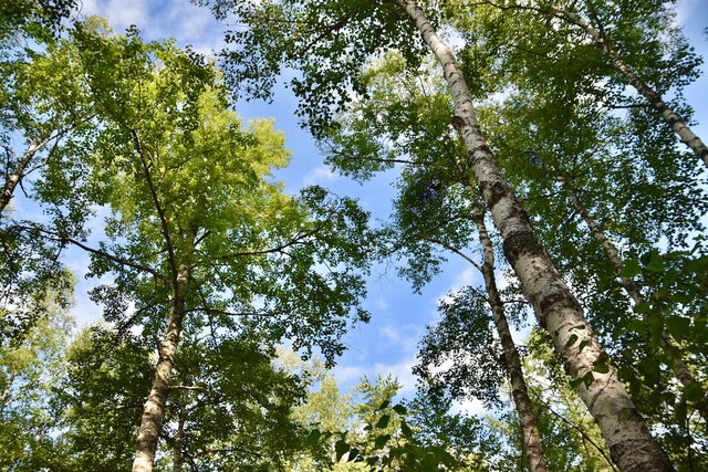 キャンプぶらり旅で長野を北上１泊目 〜高ソメキャンプ場〜