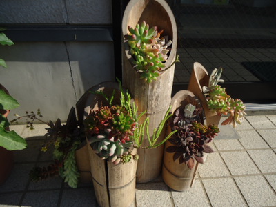 どうしよう？