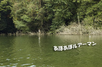 台風後の秋の相模湖バス 【難攻不落？】 その1 2007/09/28 22:08:00