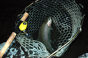 FISH-ON! 王禅寺 11/7