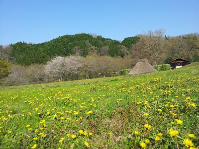 探検！その先にあるものは！