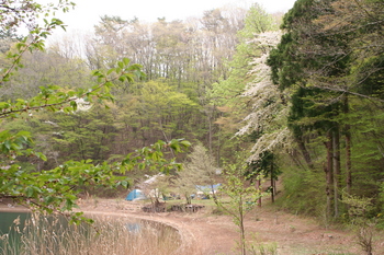 晩春の四尾連湖