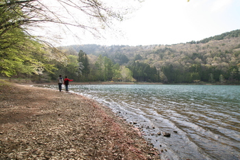 晩春の四尾連湖