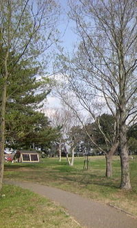 お花見キャンプ 2007/04/07 14:58:00