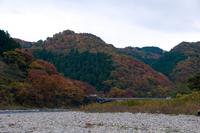 2008　紅葉Camp 2008/11/16 23:20:58