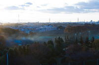 さてと。。。 2008/12/06 07:15:16