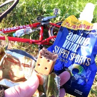 関宿城120km 2011/10/29 15:57:45