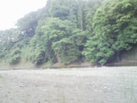 巾着田 2011/01/04 19:55:40
