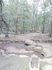 埼玉県青少年総合野外活動センター 2011/01/09 21:37:30