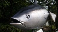 高知県へ 2010/05/31 09:16:28