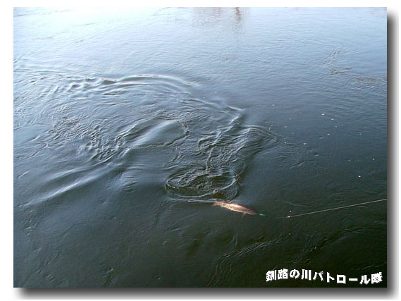 さあ２月だ