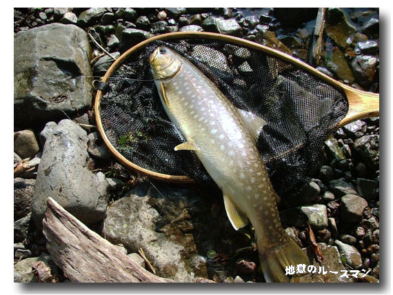 浮かべて屈斜路湖