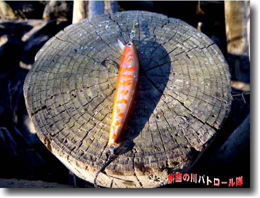 順不同