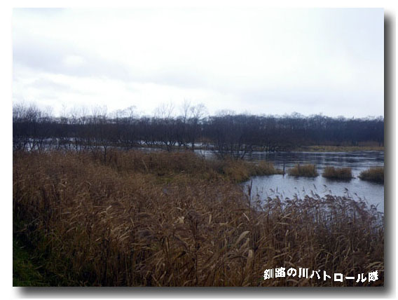 細岡表敬訪問