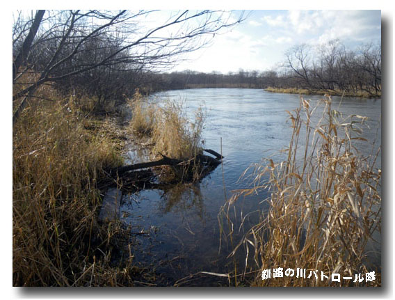 細岡1週間後