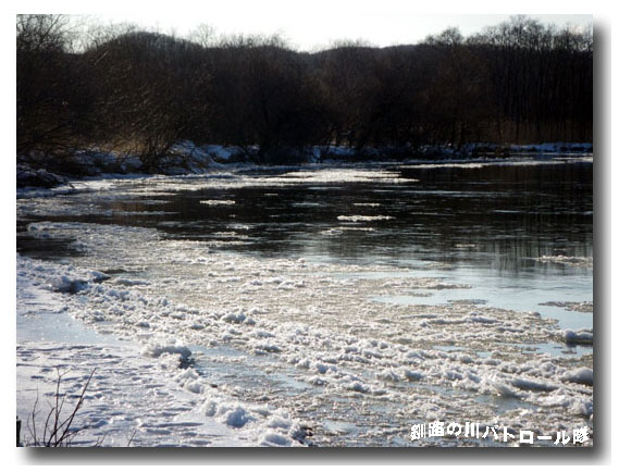 寒中見舞い
