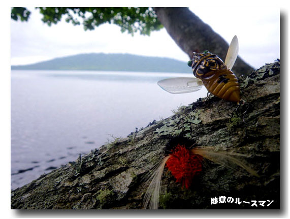 浮かべて屈斜路湖