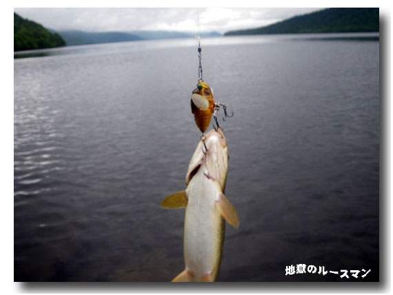 浮かべて屈斜路湖