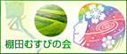 本日の応募が少なかったのかな？