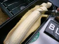 2010年5月末　自然の森　vol.3　~お食事編~
