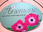anemone