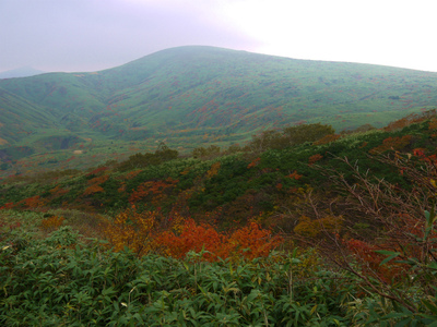 秋の秋田駒ヶ岳