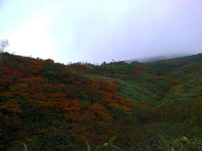 秋の秋田駒ヶ岳