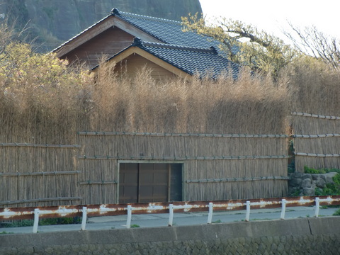 襲撃！袖ヶ浜キャンプ場