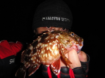 2010締めくくりも東京湾。2011始まりは東京湾？相模湾？