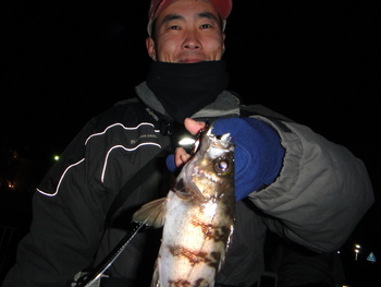 2010締めくくりも東京湾。2011始まりは東京湾？相模湾？