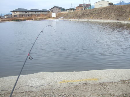 今年の初釣りは・・・