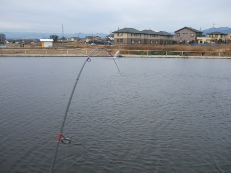 今年の初釣りは・・・