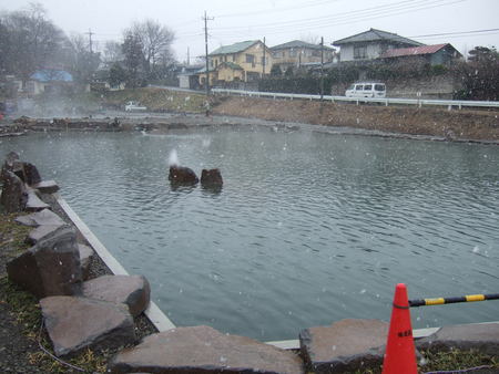 何で、居るの！？