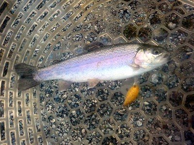 新年2発目釣行は白山