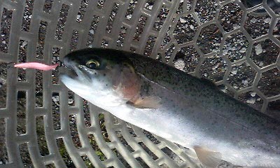 春のアングラーズエリアHOOK釣行