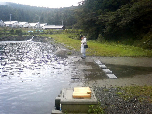 朝から中ノ沢
