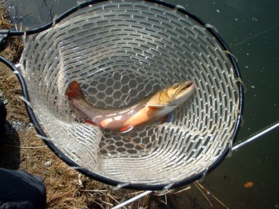 高萩ボトム釣り大会