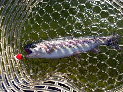 長瀞釣行