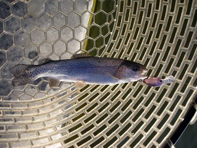 長瀞釣行