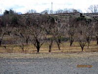 また宮城AV 2010/01/29 23:19:17