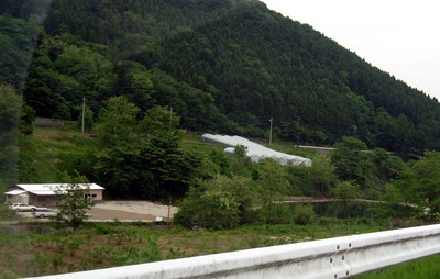 ベリーズ迦葉山