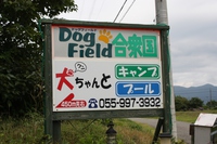 キャンプｉｎ静岡１７　with dog